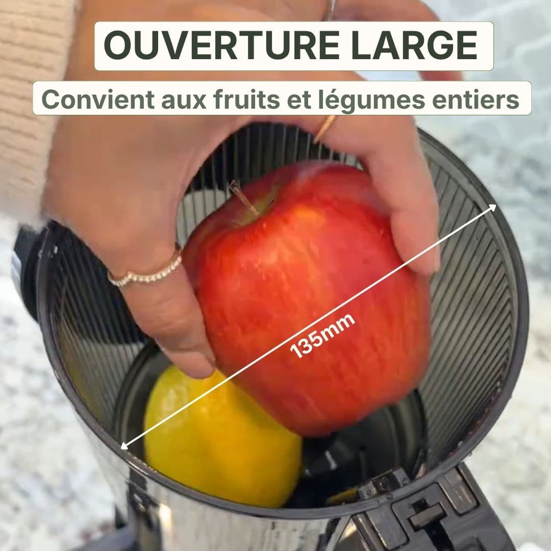 Extracteur de Jus
